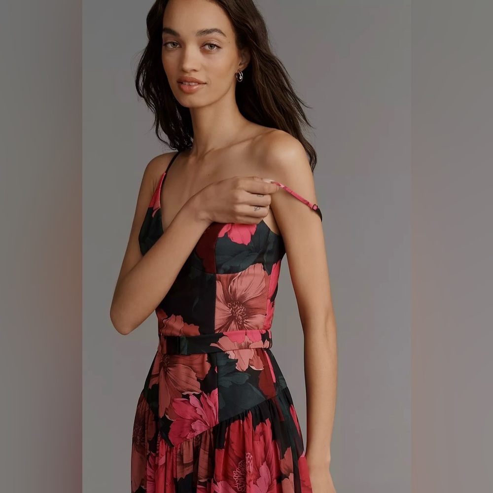 Hutch Ruby Sweetheart Drop-Waist Maxi Dress with Belt - Picture 2 of 4
